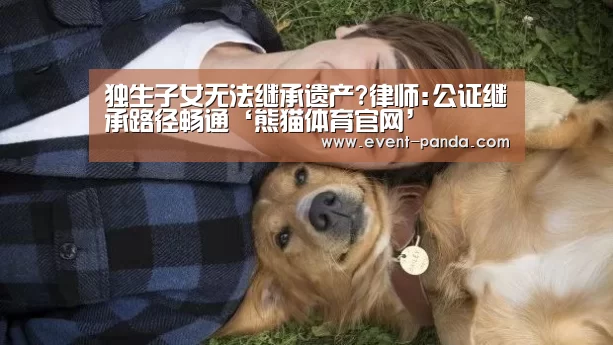 熊猫体育官网