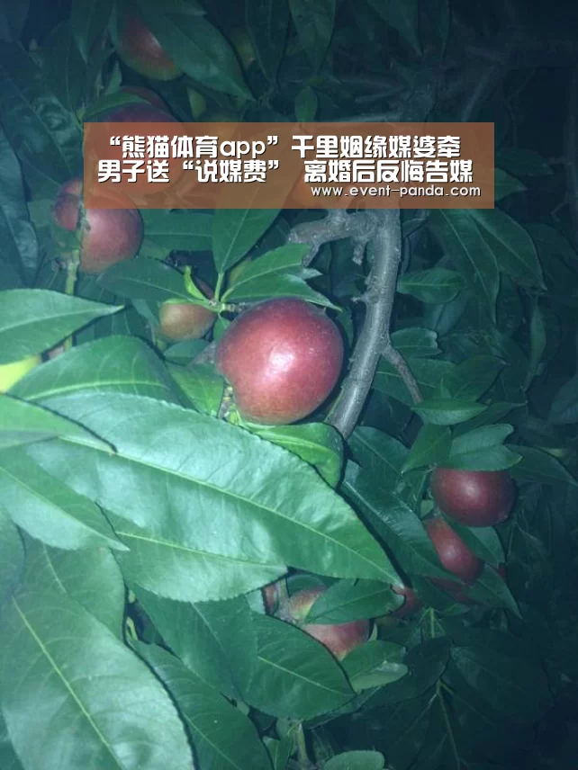 “熊猫体育app”千里姻缘媒婆牵 男子送“说媒费” 离婚后反