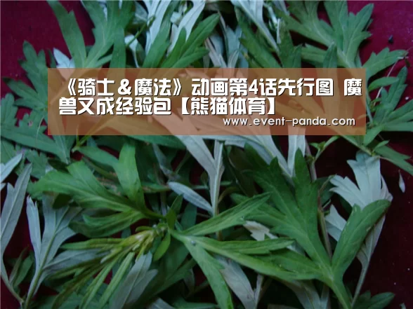 熊猫体育