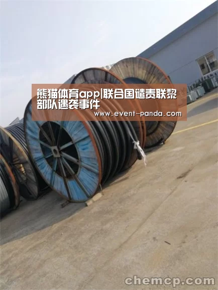 熊猫体育官网
