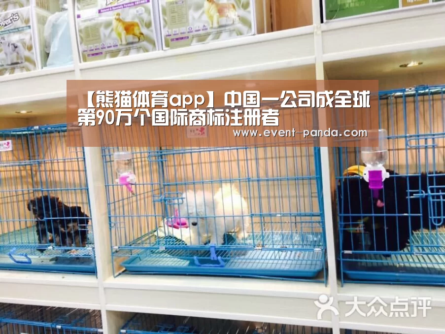【熊猫体育app】中国一公司成全球第90万个国际商标注册者